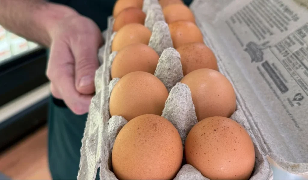 eggs recalled salmonella