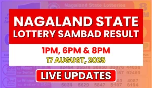 Nagaland State Lottery Result Today 8PM 17-08-2025 Sunday: Check Lottery Sambad Winning Numbers