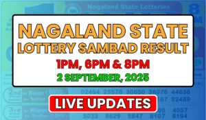 Nagaland State Lottery Result Today 2 September, 2025 Tuesday: Check 1PM, 6PM & 8PM Lottery Sambad Winning Numbers